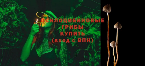 прущие крисы Алзамай