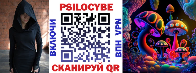 darknet официальный сайт  Ликино-Дулёво  Псилоцибиновые грибы Psilocybe 